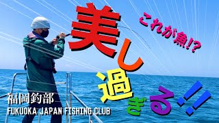 【福岡釣部 in 糸島沖】119前 後編 初めて見る美し過ぎる魚に感動🐠五目釣りツアー⛴Fukuoka Japan Fishing Club in 博多湾！