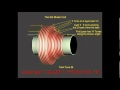 Muller, Understanding his coil  design