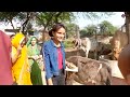 gokul tour nand mahal nand bhavan gokul tour by ms vlogger 2022