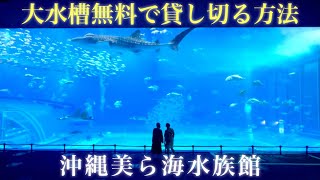 美ら海水族館の見どころ、ジンベイザメがいる巨大水槽を貸し切る方法を伝授します！！【裏技】