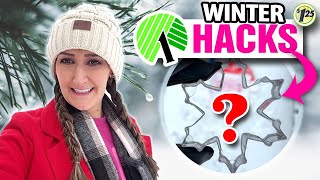 ✨MAGIC in Minutes! Winter Wonderland DIY HACKS! Fun on a budget!  $1 Dollar Tree 2025