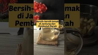 Bersih - bersih lemak di Jantung dan Pembuluh darah | JSR -Resep buku Dr. Zaidul Akbar.