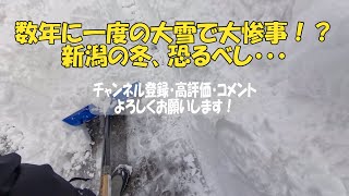 数年に一度の大雪で大惨事！？新潟の冬、恐るべし・・・【悪路実況】 #新潟 #車載動画 #insta360x4 #大雪 #雪道 #災害 #事故 #小春六花 #はにわドローン