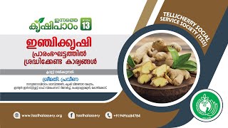 ഇന്നത്തെ കൃഷിപാഠം 13 - ഇഞ്ചിക്കൃഷിയുടെ പ്രാരംഭഘട്ടത്തിൽ ശ്രദ്ധിക്കേണ്ട കാര്യങ്ങൾ