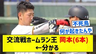 【一流はやっぱり上げてくる】交流戦ホームラン王　岡本(6本)←分かる【5chまとめ】