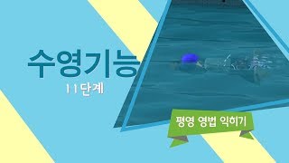 수영기능 11단계 - 평영 영법 익히기