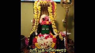 ஸ்ரீ பூத புரீஸ்வரர் பிரதோஷ பூஜைகள்