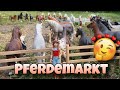 ICH war auf dem größten PFERDEMARKT 🌻🐴Schleicj