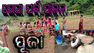 ଗୋପଟିମା (କୁଇ) ଆଦିବାସୀ  ରେସା ପୂଜା ପାଳନ ୨୦୧୯