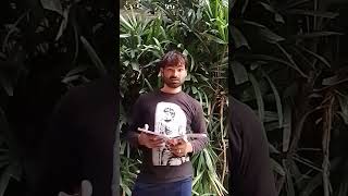 Dhanush kisne Toda#short#funny #comedy #trending video