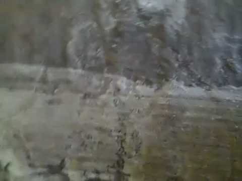 Skunk odor in Oriental Rugs completely removed at RugMasters Skunk odor in Oriental Rugs completely removed at RugMasters