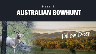 Free Range Fallow Deer Bowhunting - Australia Part 1 - Wild Safaris