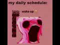 my daily schedule