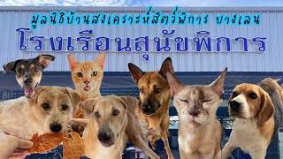 มูลนิธิบ้านสงเคราะห์สัตว์พิการ สาขาบางเลน