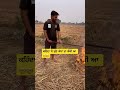 ਕਹਿੰਦਾ ਮੈਂ ਤਾਂ ਏਮੇ ਹੀ ਕਰੂ farmer agriculture viralshorts