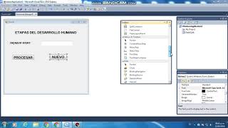 UTILIZANDO TIMER Y PROGRESS BAR /Visual Basic 2010 - Parte1