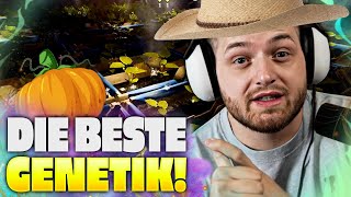 🤓😄 Ein NOCH GEILERES RUST Projekt mit DIESEN REGELN?? | Farmarbeit