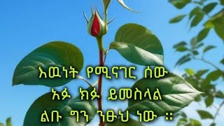 አሠላማሊኩም ወራህመቱላሂ ወበረከቱ