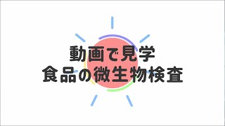 動画で見学　微生物検査