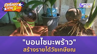 บอนไซมะพร้าว สร้างรายได้วัยเกษียณ (31 ธ.ค. 67) | คุยโขมงบ่าย 3 โมง