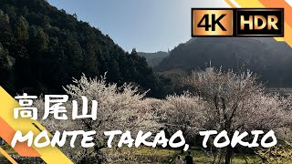 Monte Takao en Tokio (temporada de sakura) / Mount Takao in Tokyo (sakura season) - 4K HDR