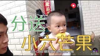 【農人DJ楓楓】枫枫把小六送的芒果分了，路过都有份