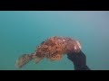 Ο καλοκαιρινός Δεκέμβρης του 2019..spearfishing.gr