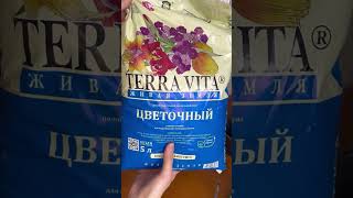 Роза из пятерочки