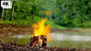 4K Relaxing Campfire In The Jungle with Ambience Nature and Fireplace Sounds.