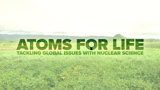 ATOMS FOR LIFE: tackling global challenges with nuclear science