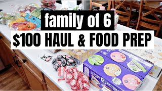 LARGE FAMILY GROCERY HAUL & FOOD PREP | KITCHEN ORGANIZATION | FRUGAL FIT MOM