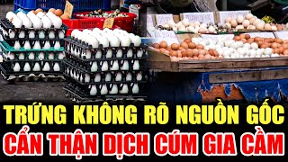 ⚠️ CẢNH BÁO: TRỨNG KHÔNG RÕ NGUỒN GỐC - CẨN THẬN KHI ĂN | LỜI CẢNH BÁO THVL | CHUYỆN CẢNH BÁO 2025