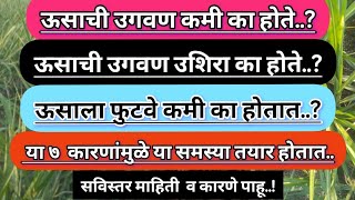 ऊसाची उगवण कमी होऊन उशिरा का होते.? फुटवे कमी का येतात.? या ७ कारणांमुळे ही समस्या तयार होते पाहू..!