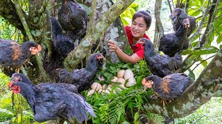 Vietnamese Girl Caught Many Typical Animals in Deep Forest | AMAZING  Harvesting Adventure