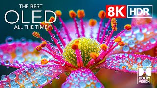 World Best Dolby Vision Hdr 4k Video Ultra Hd 60fps 4k 8k 120 Fps Tv 8k