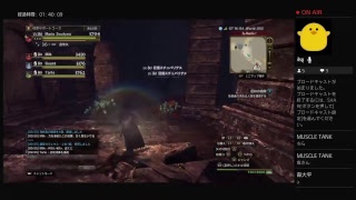 DDON 適当に垂れ流し