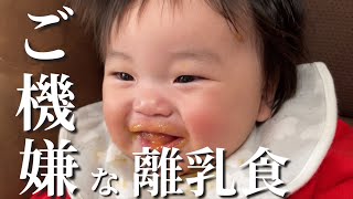 【離乳食】初めてのりんご！  笑って興奮して【生後5ヶ月】