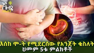 እሰከ ሞ-ት የሚደርሰው የአንጀት ቁስለት ህመም 5ቱ ምልክቶች | Nuro Bezede Girls