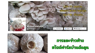 การแคะข้าวฟ่าง สไตล์บ้านต้นคูน | ฟาร์มบ้านต้นคูน