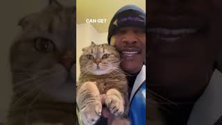 Happy Weekend Cat Family!! #thecatrapper #cat #freestyle #rap #lilParmesan #catlover #gato #gatos