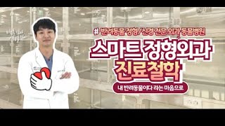 스마트 정형외과 신경외과 동물병원의 진료철학에 대하여 알려드립니다