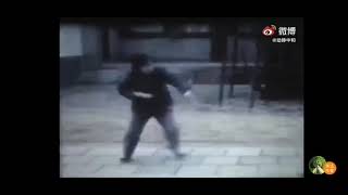 武术：老武术家孙剑云老师演练八卦掌 Martial arts: veteran martial artist Sun Jianyun practices Baguazhang