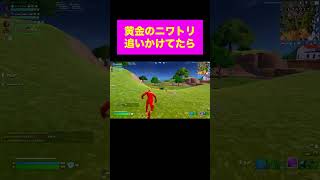 【フォートナイト】黄金のニワトリを追いかけてたら...#fortnite #フォートナイト #2024