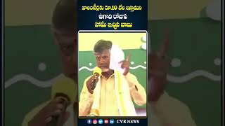 వాలంటీర్లకు ఉగాది రోజున హామీ ఇచ్చిన బాబు | Babu bumper offer for volunteers | #ytshorts  CVR NEWS