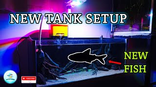 අඩි 2 ටැංකියට හදපු Hardscape Setup එක ⛰️ DIY Tank Setup / DIY Light Sistem / DIY Filter Sistem