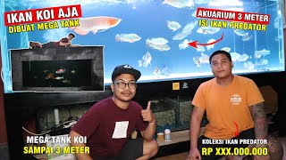 EVAKUASI IKAN SULTAN! ADA MEGA TANK IKAN PREDATOR DAN MEGATANK KOI  JUGA...