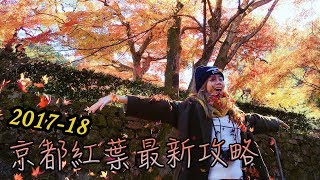 關西賞楓🍁7大必去打卡景點｜5天4夜懶人包行程｜BEST SPOTS TO SEE AUTUMN LEAVES IN JAPAN