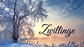 ♊️  Emotionen laufen auf Hochtouren  💫 #Zwillinge #Lenormand #Februar