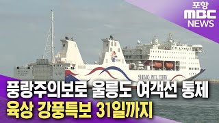 해상 풍랑주의보로 울릉도 여객선 통제..육상에는 강풍특보 (2025.01.28/뉴스데스크/포항MBC)