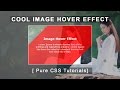 Image Overlay Hover Effects With CSS3 - Pure Css3 Hover Effects - Tutorials - Plz SUBSCRIBE Us